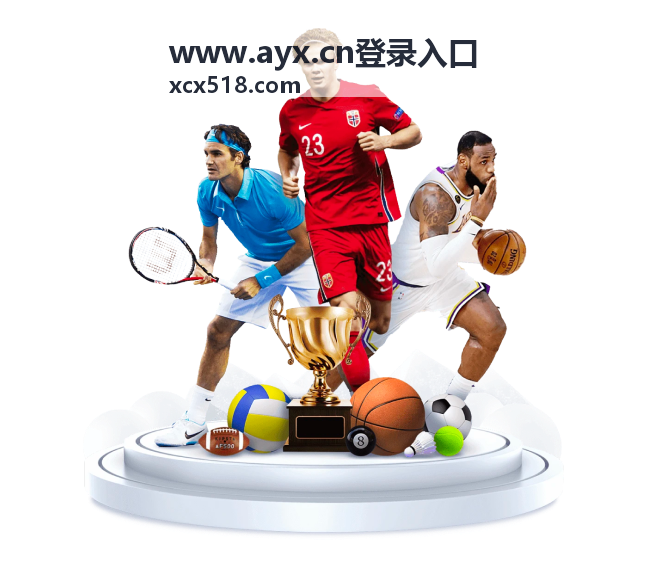 AYX登录安全与隐私保护